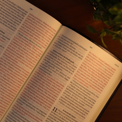 image_66e4b3d1-e6dc-4626-8ba6-dc48188a5c71