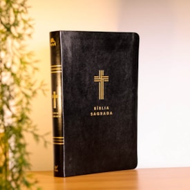 Segunda imagem do produto Bíblia Sagrada | NVI | Letra Gigante | Preta