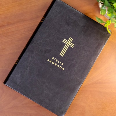 image_e688ea27-d2c5-4bf3-a2de-fd29c1b1430f