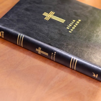 image_6a27df3c-c860-4621-b31c-fa7208ad5f0b