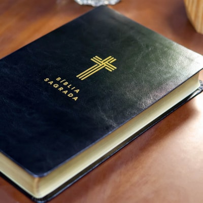 image_d3d18f93-977c-43cb-90cd-f31f57cf445c