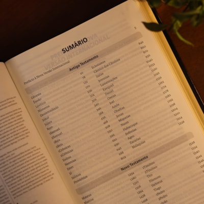 image_69be5676-74ed-4c97-b626-fd092eac4bac