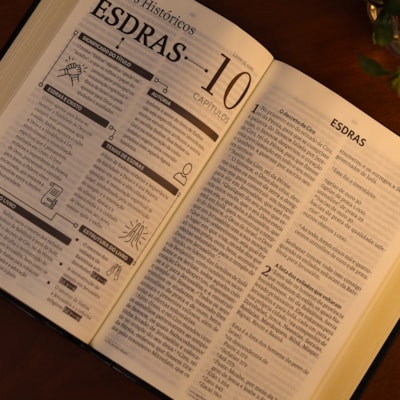 image_3b4fc551-0c9f-4380-9285-10b72357f9ba