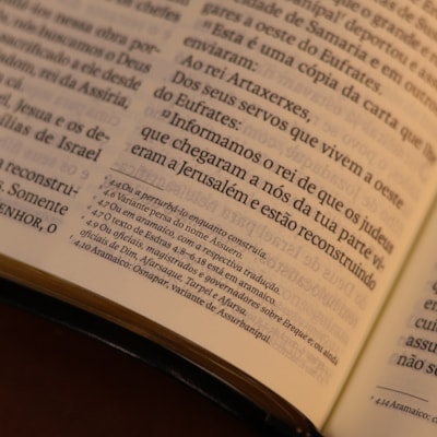 image_173fa661-b6f3-4d76-9efc-c8bac779388b