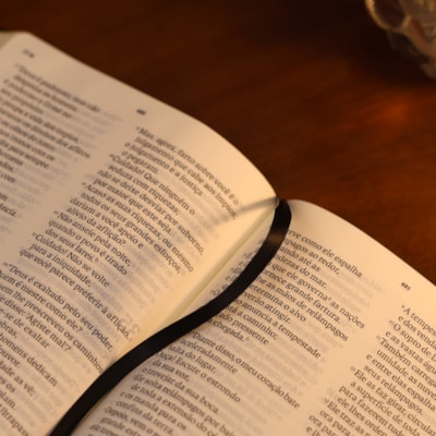 image_04c261a4-914e-402f-b669-c125794f5251