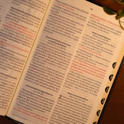 image_995e9c25-32d8-41a9-80fe-113a5fe0fbfe