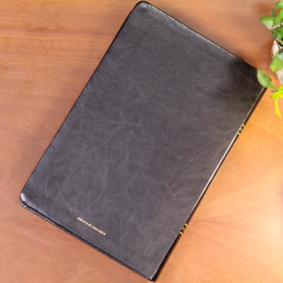 image_7d29a8de-a148-4d28-8f49-4f54ac596acc