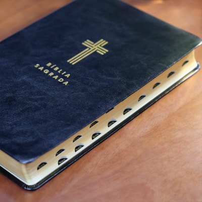 image_40bb5e63-6cf2-4036-8b83-3278da6b908c