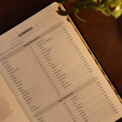 image_47e9e202-5e94-4389-b0c5-6de49704ac59