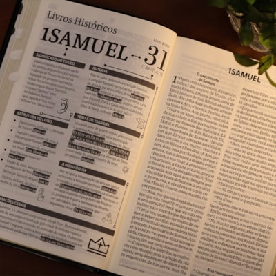 image_a1bda2f5-65f0-4c0c-be76-a02ece3bfb95