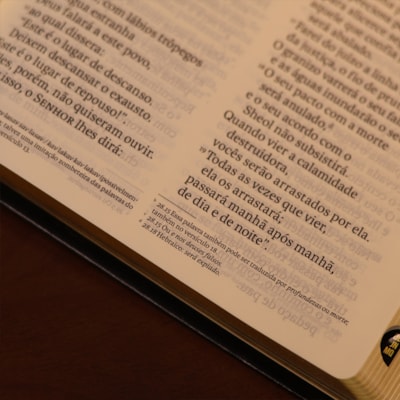 image_4477a543-62ea-4873-931d-dd1512cfbb4e