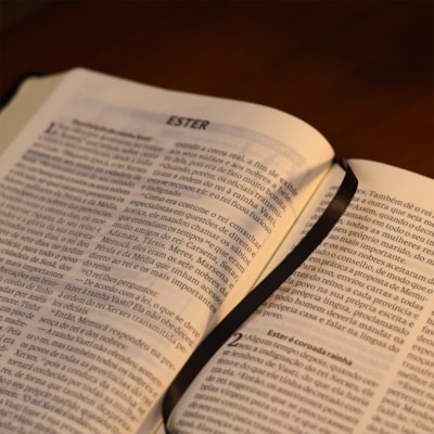 image_4472dcdd-dbf9-4312-a941-5cdae95e8d80