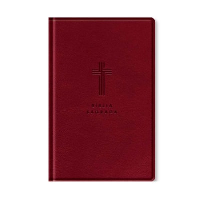 Bíblia Sagrada | NVI | Letra Gigante | Vinho