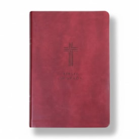 Bíblia Sagrada | NVI | Letra Gigante | Vinho Com Índice