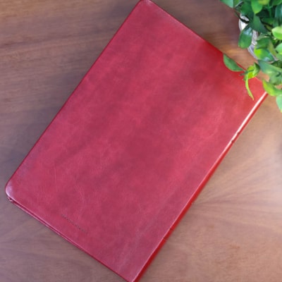 image_b25ce859-0ee8-4250-9501-ffcacdeb6260