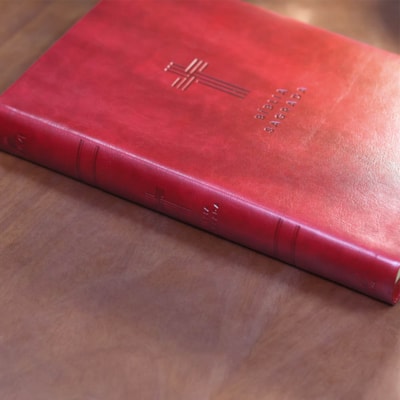 image_39cfde2e-252e-4cca-85f9-ebc619a8a57c