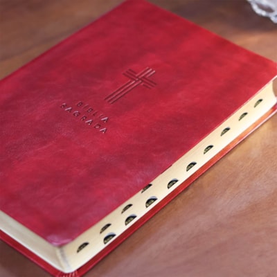 image_eba9d147-9cdf-447f-bf0b-bb976c6470d4