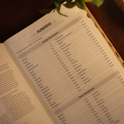 image_ae308eaf-b328-4869-bf69-4a8a68039d63