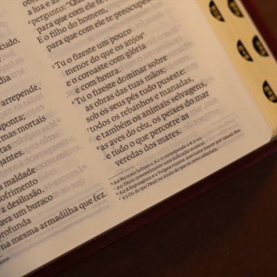 image_4345bf8e-34f1-4d6a-8abc-c79984182da8