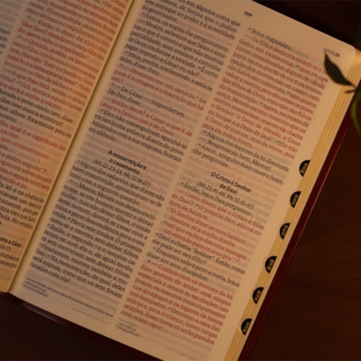 image_e94a2c6a-0983-435d-b4eb-bc1508f805ca