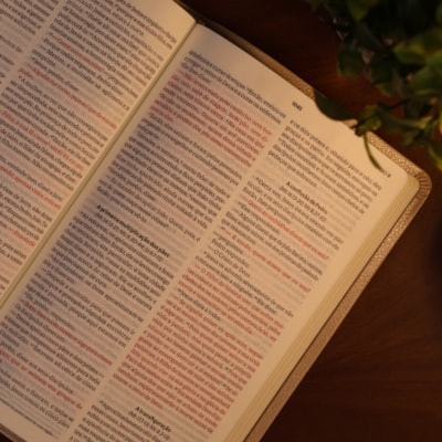 image_18ef84c5-7168-4c92-8693-9b4098280e70