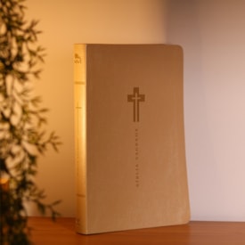Segunda imagem do produto Bíblia Sagrada | NVI | Letra Grande | Bege