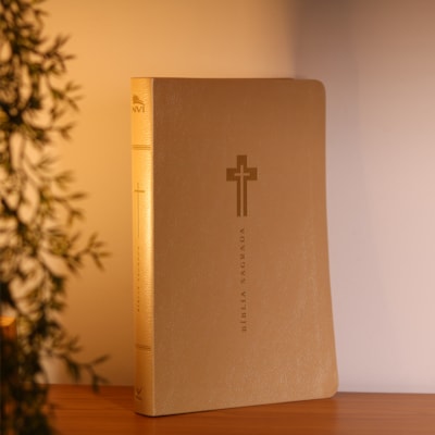 Segunda imagem do produto Bíblia Sagrada | NVI | Letra Grande | Bege