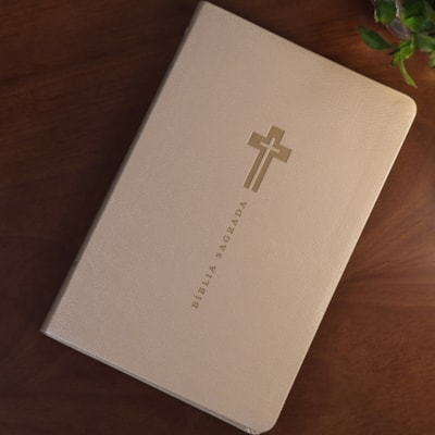 image_adca6ed3-fd87-4a10-8707-c67ed02648d8