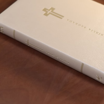 image_2551c191-69d9-4418-bf48-2c0bf01b0b45