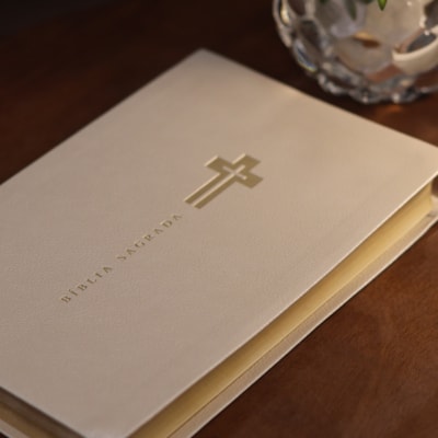 image_411d6c15-68fb-4621-827a-200b0e2c5c93