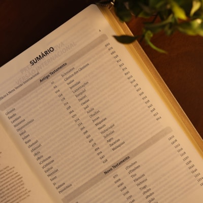 image_eaa19e41-6ae0-43ee-8b10-fdccb40ac2bf