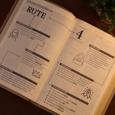 image_27d786bd-751f-4f2a-bd12-5835386b7a30