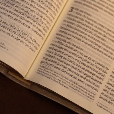 image_8ea89f56-91fd-4a45-ba8d-5a4449cfaa8f