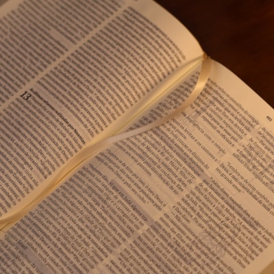 image_b81dd9a9-a415-4d4b-b7d0-911cb1e38f3c