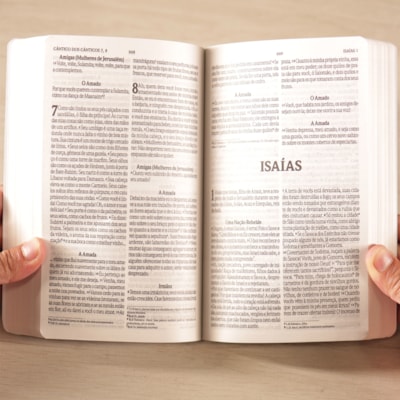 image_0253dae4-9c13-49fb-a525-bea7a5d75e2a