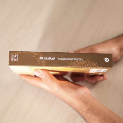 image_8ef00dbd-515e-4fb0-b5b1-bcd953879738