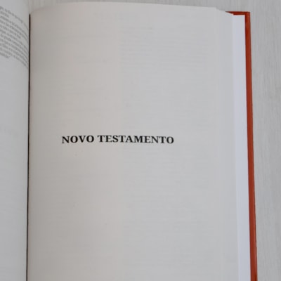 image_9799805f-e6b7-4da0-b700-95433a855077