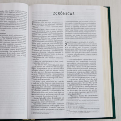 image_9ff164e6-beea-44c4-8fd3-a190c354c94b