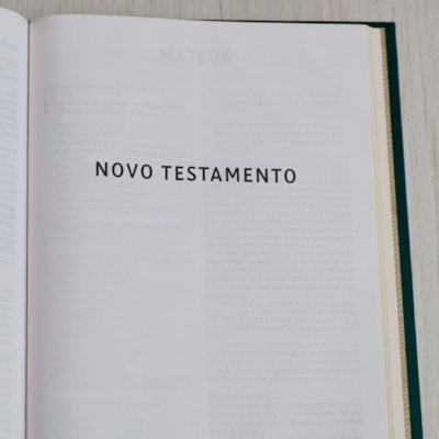 image_b5e0cb33-3e31-4f0b-9078-c8428bcd9f31