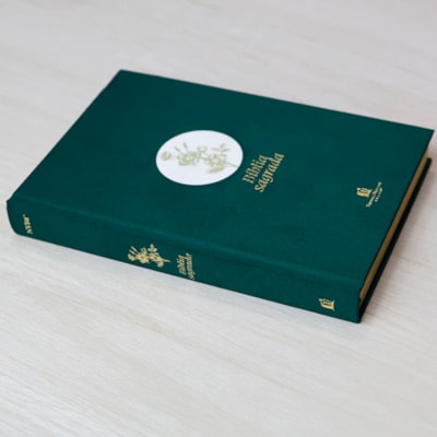 image_46aa56d0-f806-4bc0-968f-1f71773984ca