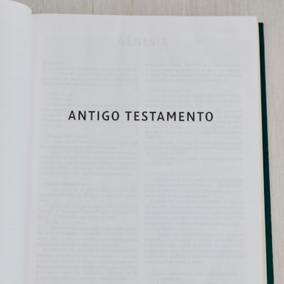 image_602aae2a-f36d-4254-8e73-a419584aea32