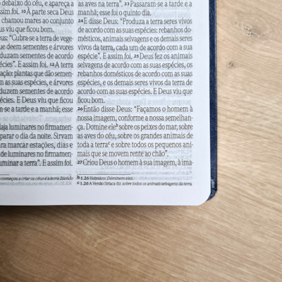 image_49e65306-a874-499c-8095-0d8ba9e05fc4