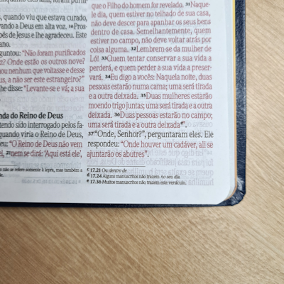 image_24ac8097-c2e2-4299-8316-fce652fad45c