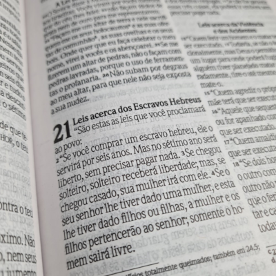 image_3441c8c2-ffe3-4bb4-b6e4-f7bf7e7427be