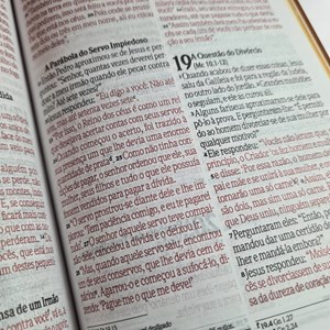 Bíblia Sagrada | NVI | Letra Grande | Capa Luxo Marrom