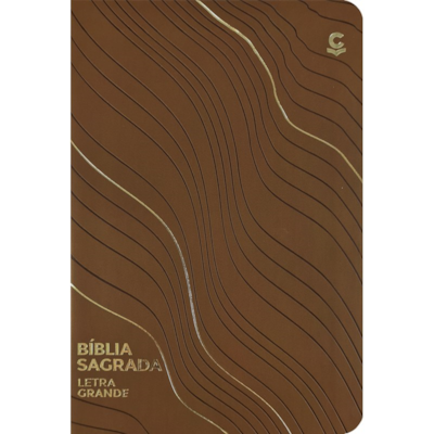 Imagem Principal - 9ef81730-dfb6-4c24-b876-3a1373bd5628