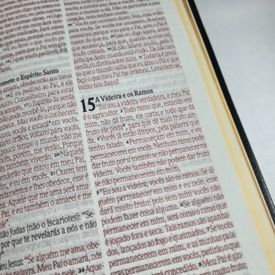 image_ae211bb3-6b2a-4e7b-91c9-bb99ea7eacf6