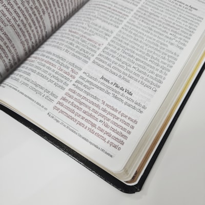 image_53255d22-da1d-4936-997d-cacef2ea0c48