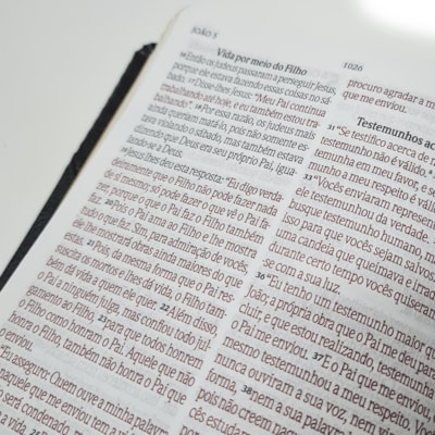 image_42444747-876a-4a53-b72c-c17bcaf39225