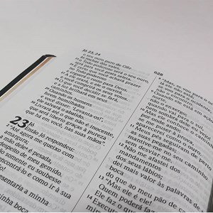 Bíblia Sagrada | NVI | Letra Grande | Capa Verde em Relevo